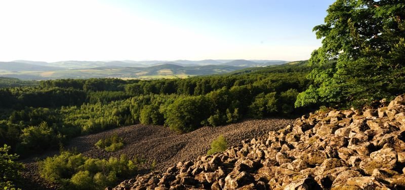 Blick vom Gipfel des Schafsteins über die große Basaltblockhalde eingerahmt von grünen Laubbäumen, in der sich die teilweise mit Moos bedeckten Steine dicht aneinander reihen.