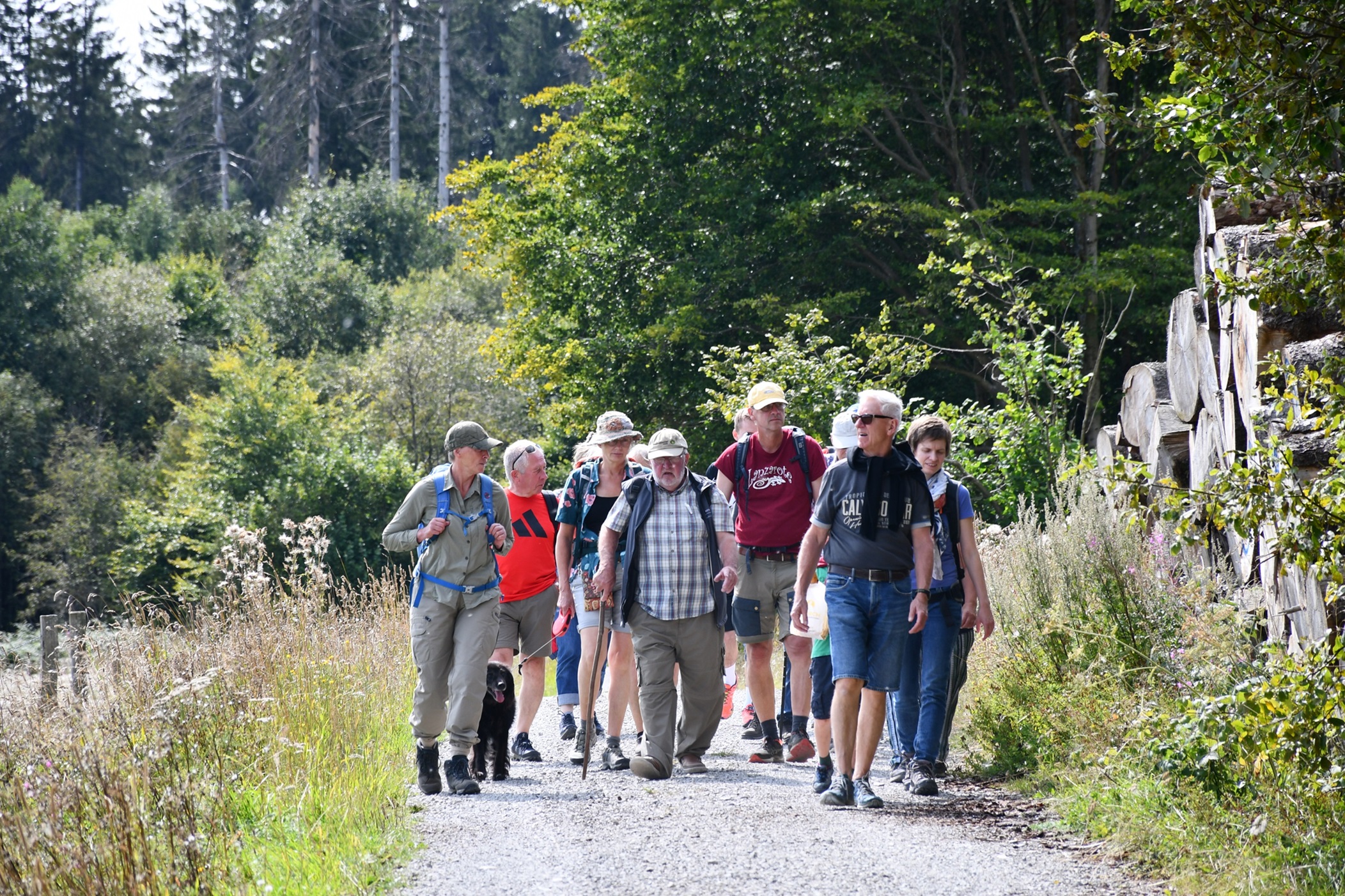Eine Wandergruppe bei den Führungen der Ranger