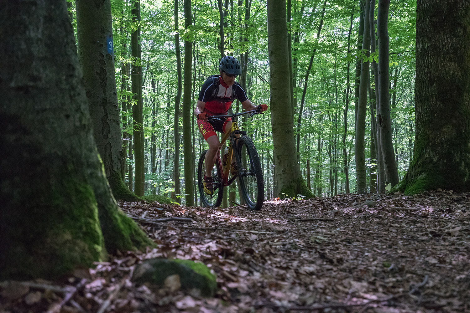Mountainbiker im Wald von vorne
